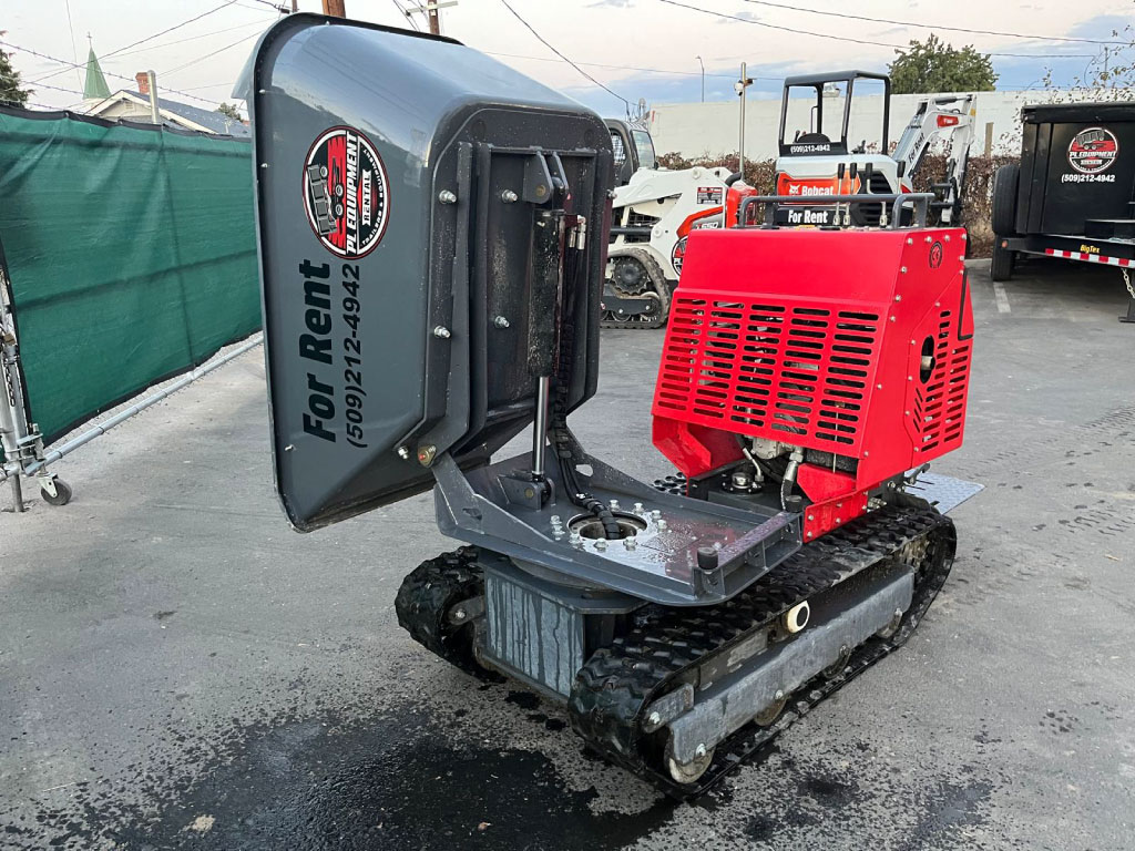 Concrete Buggy - Image 2