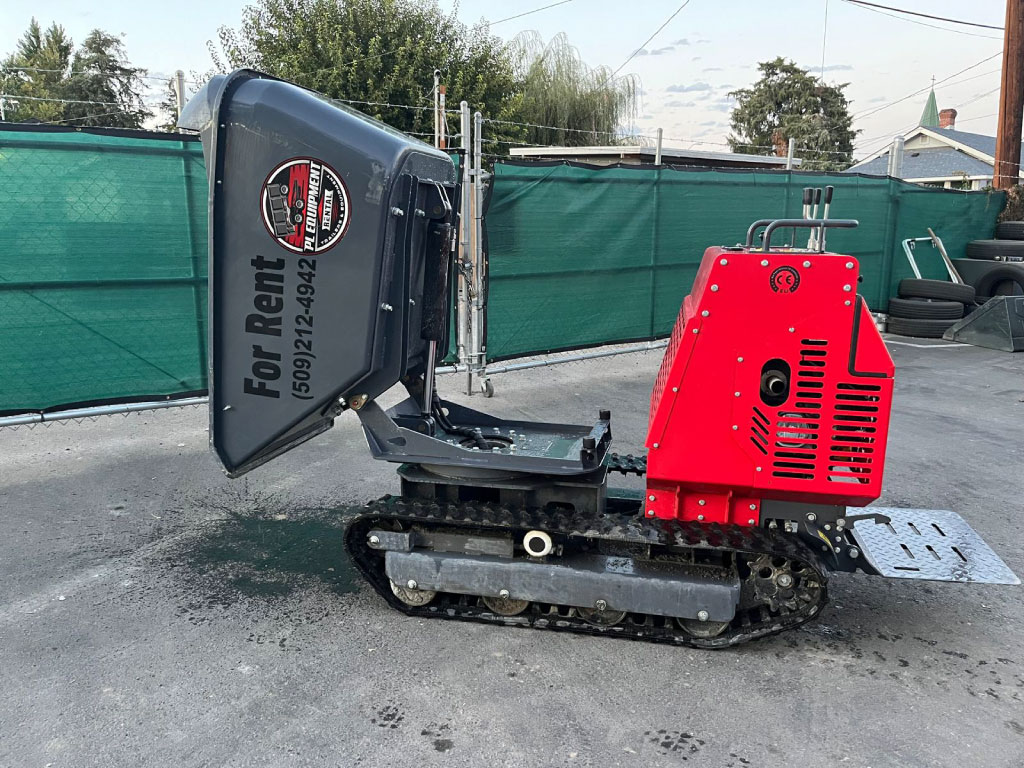 Concrete Buggy - Image 3