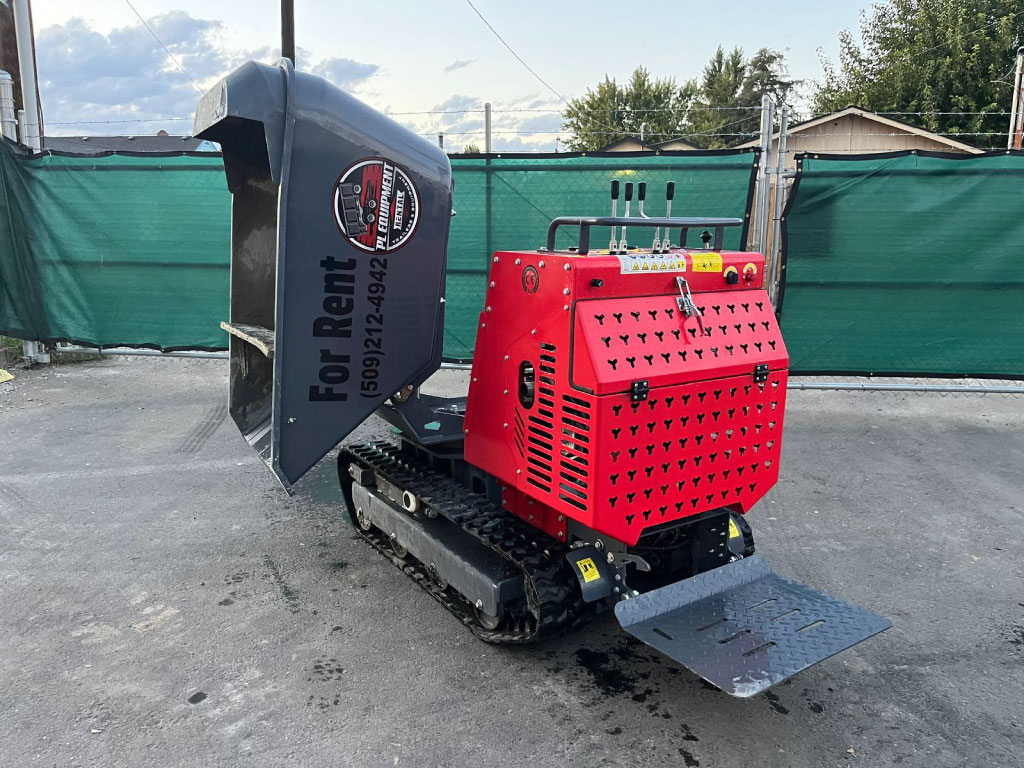 Concrete Buggy - Image 4